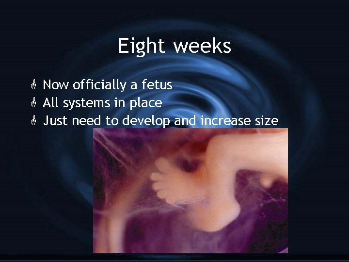 Eight weeks G Now officially a fetus G All systems in place G Just