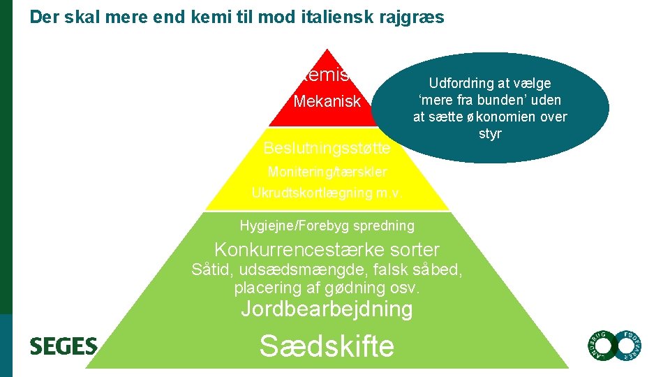 Der skal mere end kemi til mod italiensk rajgræs Kemisk Mekanisk Beslutningsstøtte Udfordring at