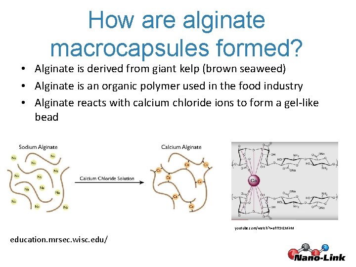 How are alginate macrocapsules formed? • Alginate is derived from giant kelp (brown seaweed)