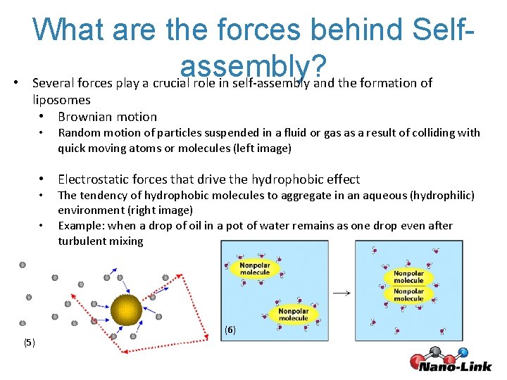  • What are the forces behind Selfassembly? Several forces play a crucial role