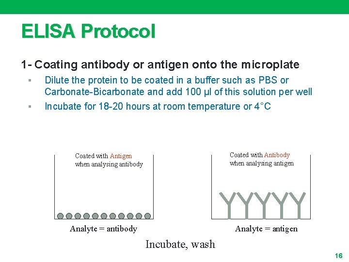 ELISA Protocol 1 - Coating antibody or antigen onto the microplate § § Dilute