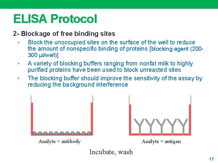 ELISA Protocol 2 - Blockage of free binding sites § Block the unoccupied sites
