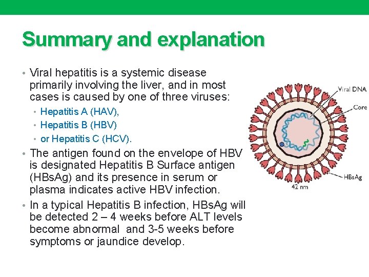 Summary and explanation • Viral hepatitis is a systemic disease primarily involving the liver,
