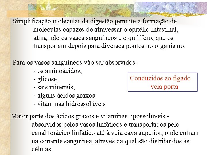 Simplificação molecular da digestão permite a formação de moléculas capazes de atravessar o epitélio