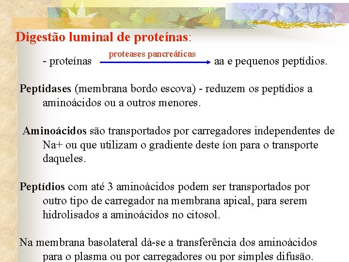 Digestão luminal de proteínas: - proteínas proteases pancreáticas aa e pequenos peptídios. Peptidases (membrana