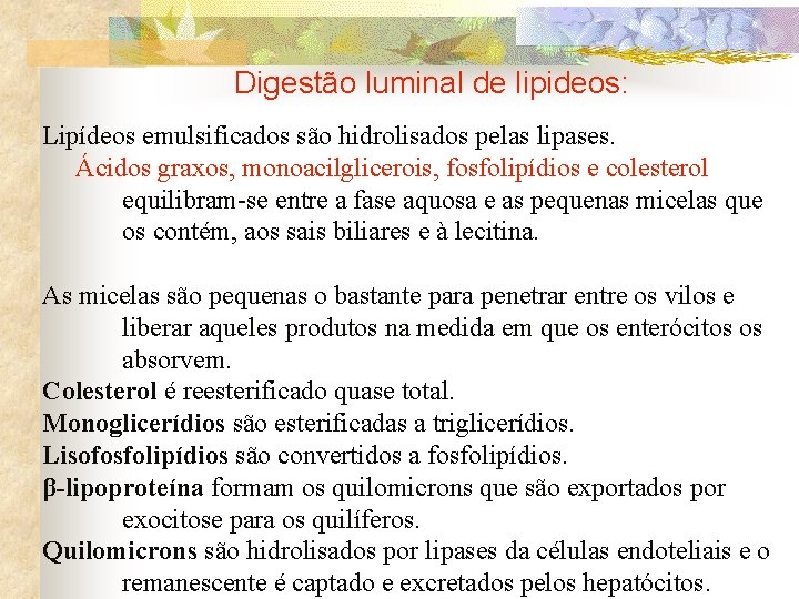 Digestão luminal de lipideos: Lipídeos emulsificados são hidrolisados pelas lipases. Ácidos graxos, monoacilglicerois, fosfolipídios