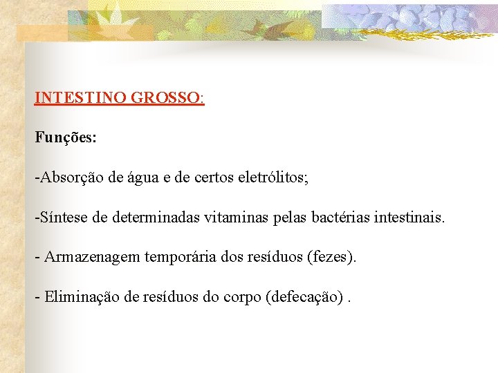 INTESTINO GROSSO: Funções: -Absorção de água e de certos eletrólitos; -Síntese de determinadas vitaminas