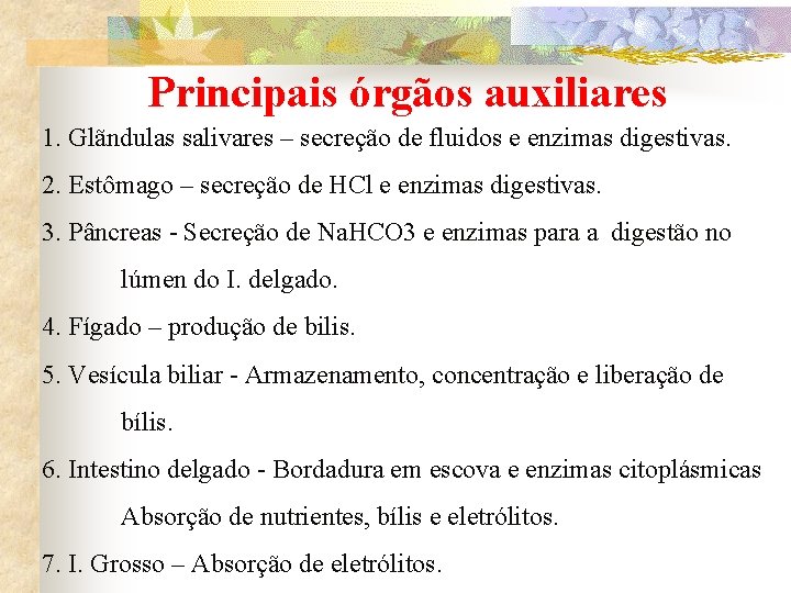 Principais órgãos auxiliares 1. Glãndulas salivares – secreção de fluidos e enzimas digestivas. 2.