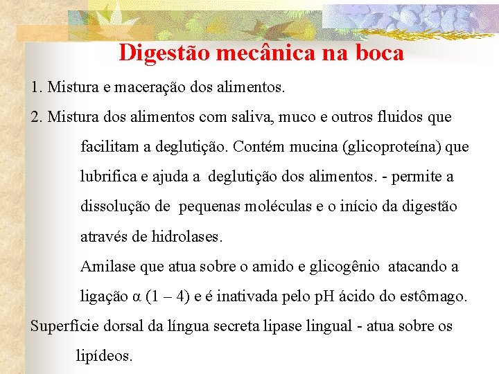 Digestão mecânica na boca 1. Mistura e maceração dos alimentos. 2. Mistura dos alimentos