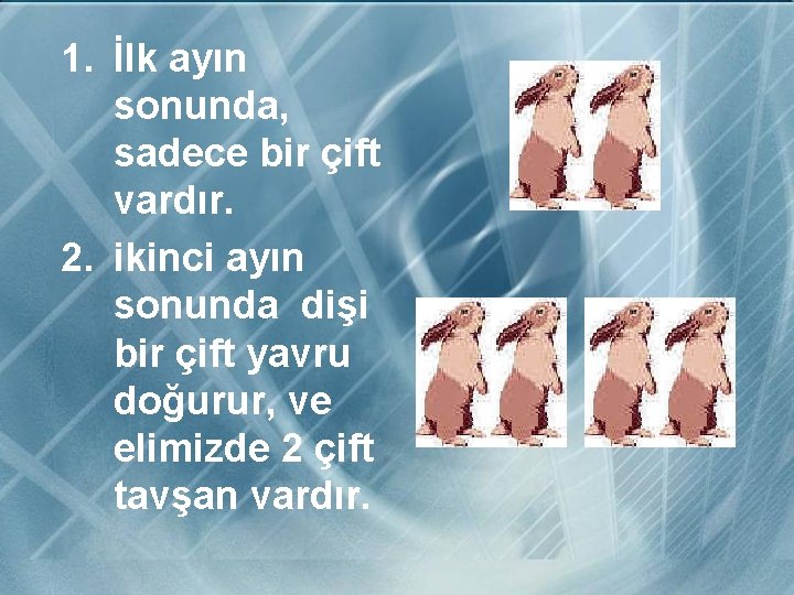 1. İlk ayın sonunda, sadece bir çift vardır. 2. ikinci ayın sonunda dişi bir