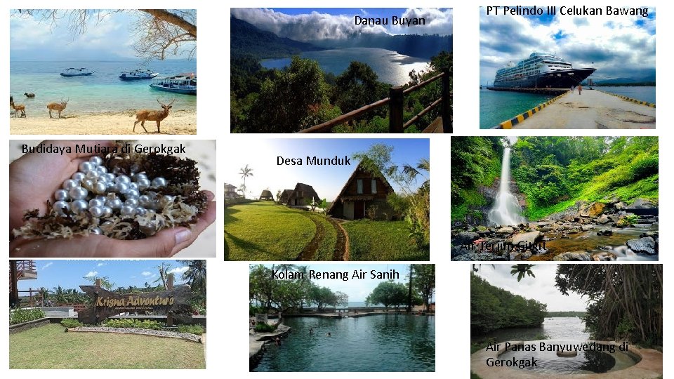 Danau Buyan Budidaya Mutiara di Gerokgak PT Pelindo III Celukan Bawang Desa Munduk Air Danau Buyan Budidaya Mutiara di Gerokgak PT Pelindo III Celukan Bawang Desa Munduk Air