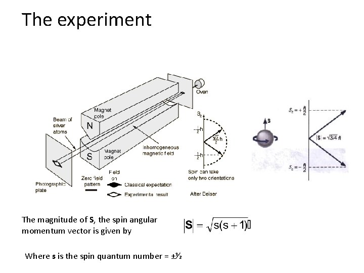 The experiment The magnitude of S, the spin angular momentum vector is given by