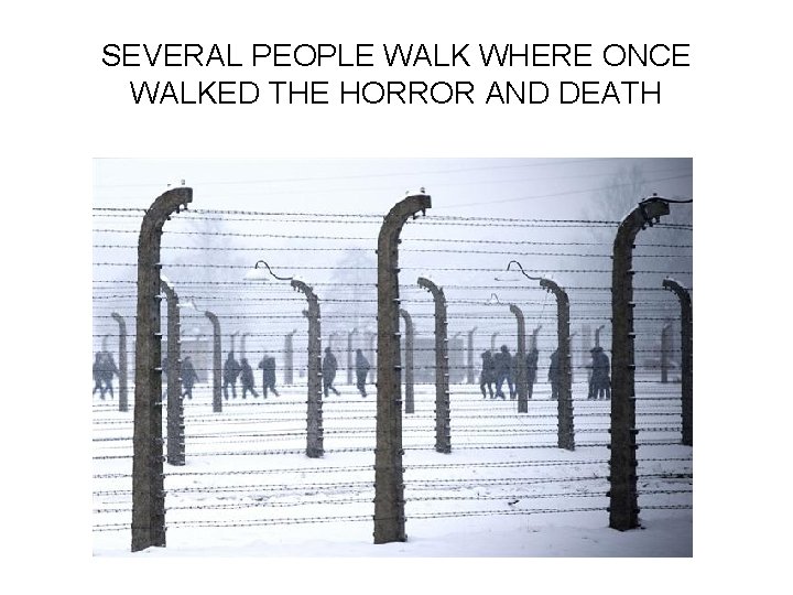 SEVERAL PEOPLE WALK WHERE ONCE WALKED THE HORROR AND DEATH 