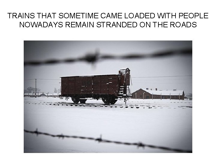 TRAINS THAT SOMETIME CAME LOADED WITH PEOPLE NOWADAYS REMAIN STRANDED ON THE ROADS 