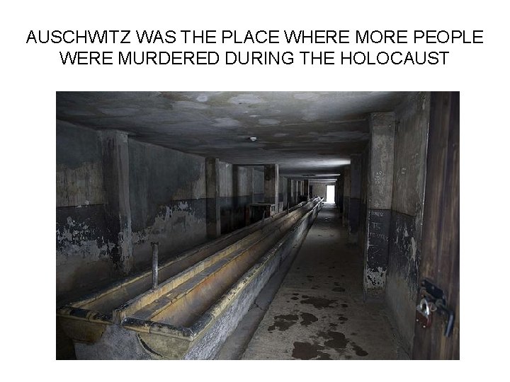 AUSCHWITZ WAS THE PLACE WHERE MORE PEOPLE WERE MURDERED DURING THE HOLOCAUST 