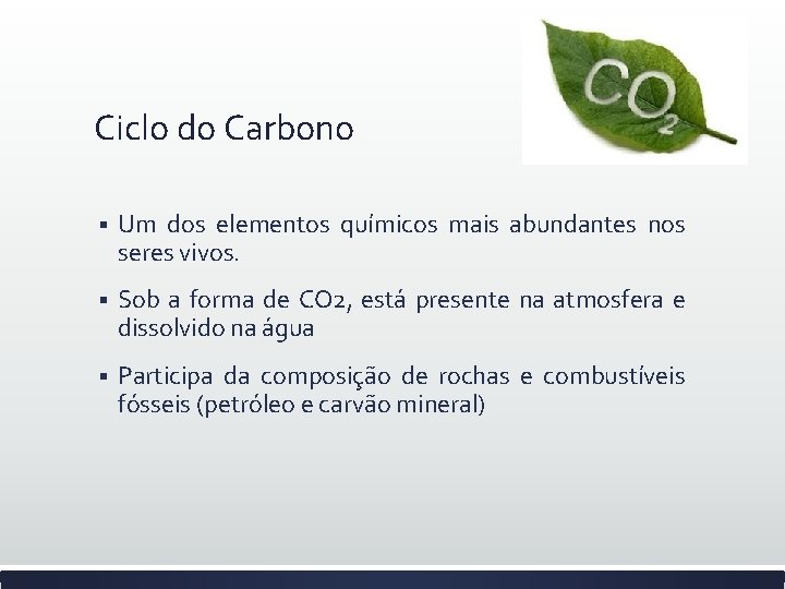 Ciclo do Carbono § Um dos elementos químicos mais abundantes nos seres vivos. §