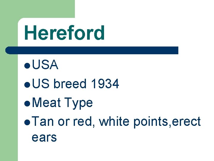 Hereford l USA l US breed 1934 l Meat Type l Tan or red,