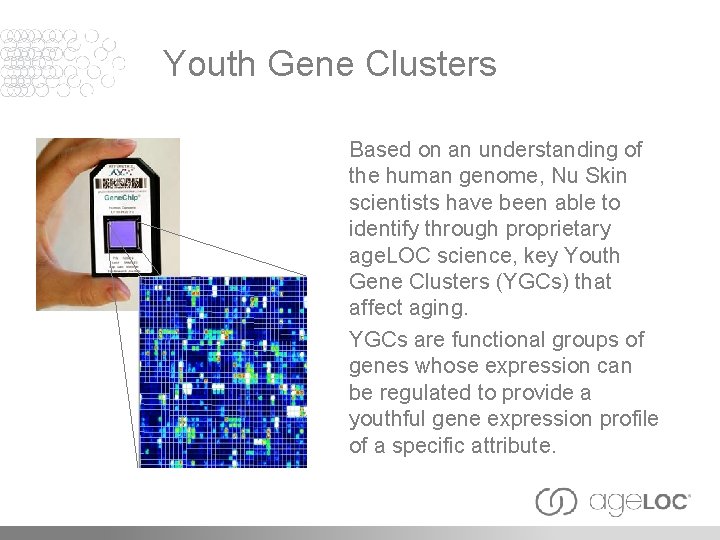 Youth Gene Clusters Based on an understanding of the human genome, Nu Skin scientists