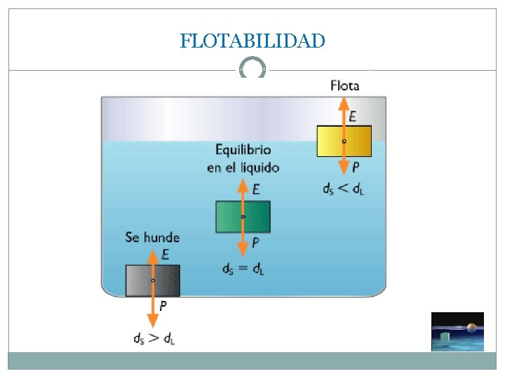 FLOTABILIDAD 