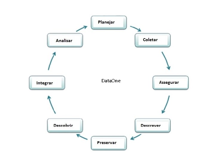 Data. One AGUIA 