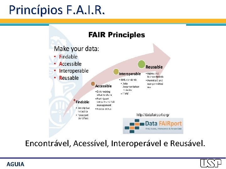Princípios F. A. I. R. Encontrável, Acessível, Interoperável e Reusável. AGUIA 