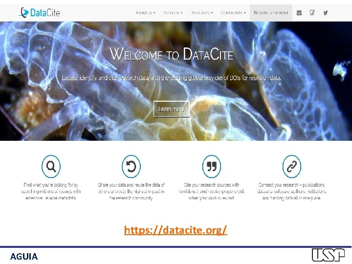 https: //datacite. org/ AGUIA 