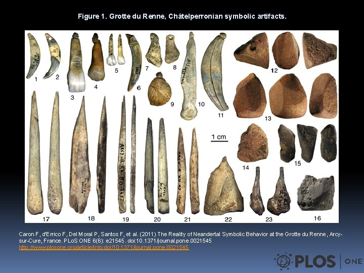 Figure 1. Grotte du Renne, Châtelperronian symbolic artifacts. Caron F, d'Errico F, Del Moral