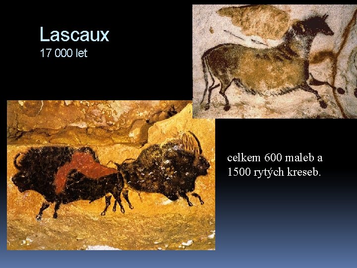 Lascaux 17 000 let celkem 600 maleb a 1500 rytých kreseb. 