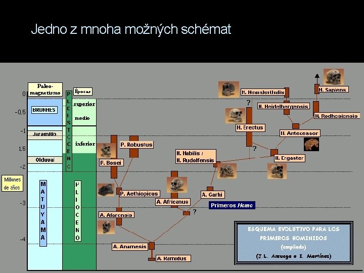 Jedno z mnoha možných schémat 