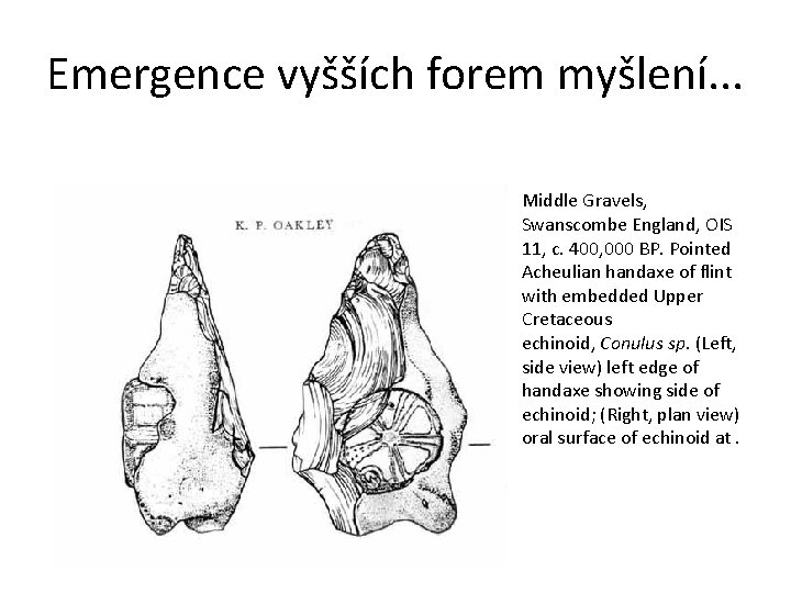Emergence vyšších forem myšlení. . . Middle Gravels, Swanscombe England, OIS 11, c. 400,