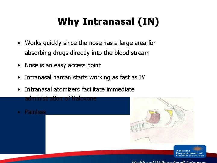 Why Intranasal (IN) · Works quickly since the nose has a large area for
