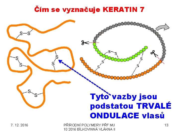 Čím se vyznačuje KERATIN 7 Tyto vazby jsou podstatou TRVALÉ ONDULACE vlasů 7. 12.