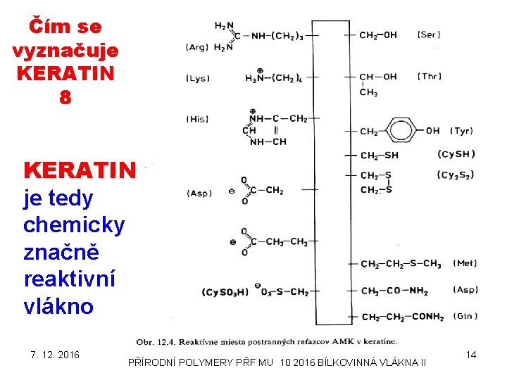 Čím se vyznačuje KERATIN 8 KERATIN je tedy chemicky značně reaktivní vlákno 7. 12.