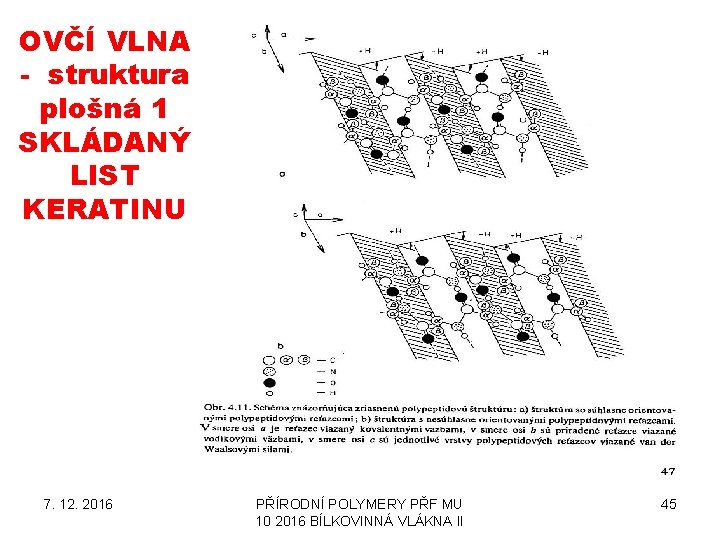 OVČÍ VLNA - struktura plošná 1 SKLÁDANÝ LIST KERATINU 7. 12. 2016 PŘÍRODNÍ POLYMERY