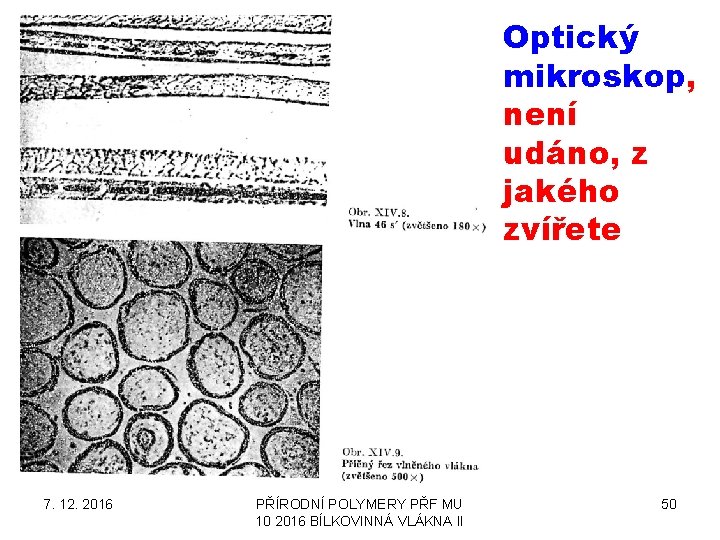 Optický mikroskop, není udáno, z jakého zvířete 7. 12. 2016 PŘÍRODNÍ POLYMERY PŘF MU