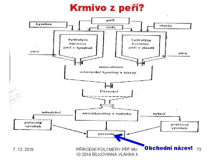 Krmivo z peří? 7. 12. 2016 PŘÍRODNÍ POLYMERY PŘF MU 10 2016 BÍLKOVINNÁ VLÁKNA