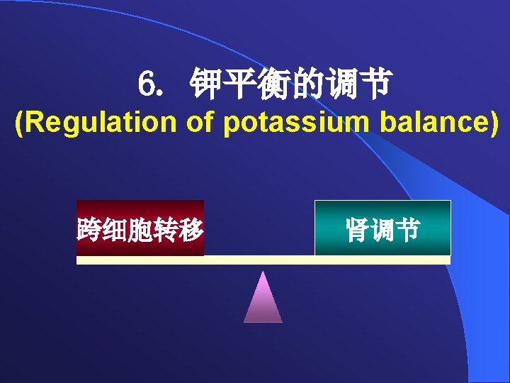6. 钾平衡的调节 (Regulation of potassium balance) 跨细胞转移 肾调节 