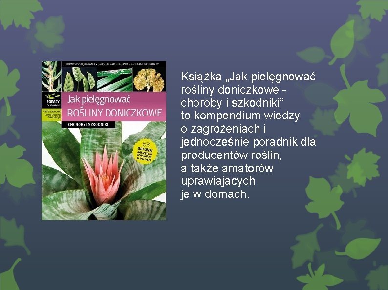 Książka „Jak pielęgnować rośliny doniczkowe choroby i szkodniki” to kompendium wiedzy o zagrożeniach i