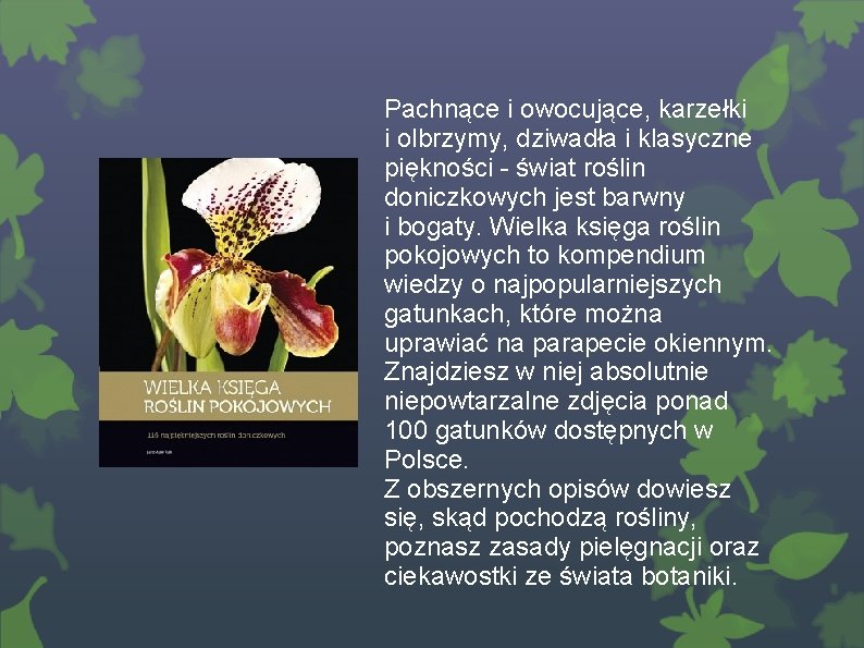 Pachnące i owocujące, karzełki i olbrzymy, dziwadła i klasyczne piękności - świat roślin doniczkowych