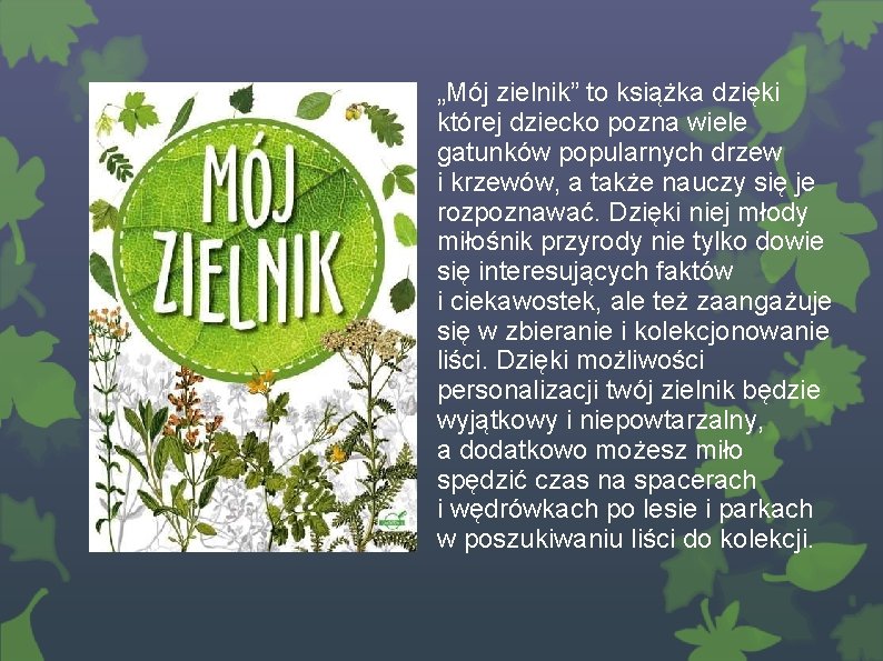 „Mój zielnik” to książka dzięki której dziecko pozna wiele gatunków popularnych drzew i krzewów,