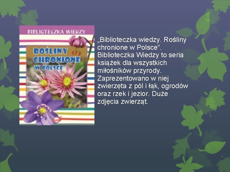 „Biblioteczka wiedzy. Rośliny chronione w Polsce”. Biblioteczka Wiedzy to seria książek dla wszystkich miłośników