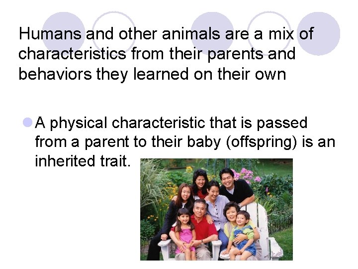 Humans and other animals are a mix of characteristics from their parents and behaviors