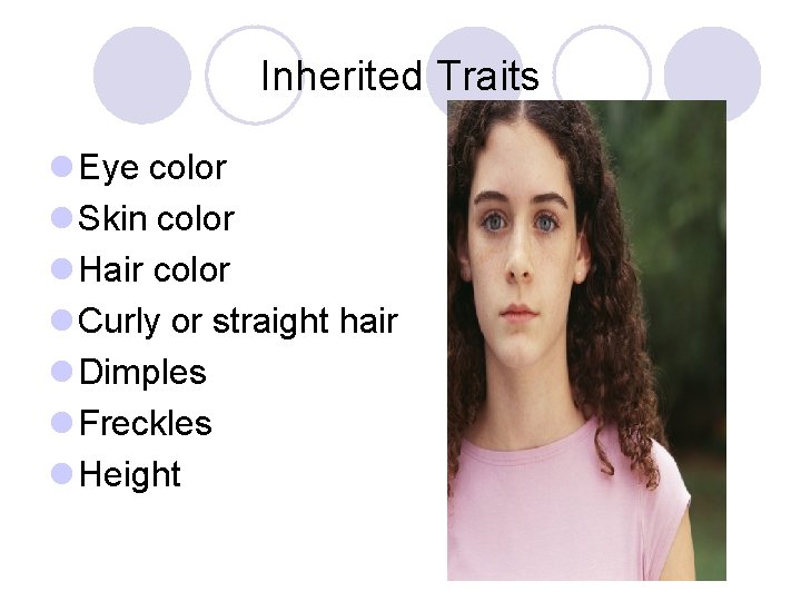 Inherited Traits l Eye color l Skin color l Hair color l Curly or