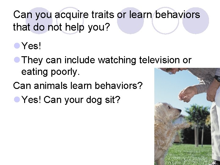 Can you acquire traits or learn behaviors that do not help you? l Yes!