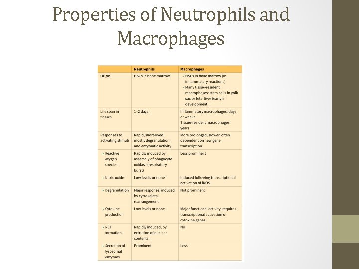 Properties of Neutrophils and Macrophages 