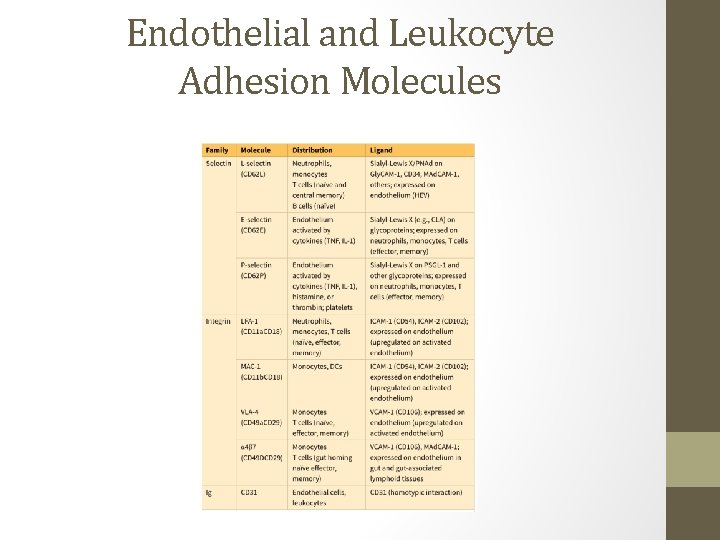 Endothelial and Leukocyte Adhesion Molecules 