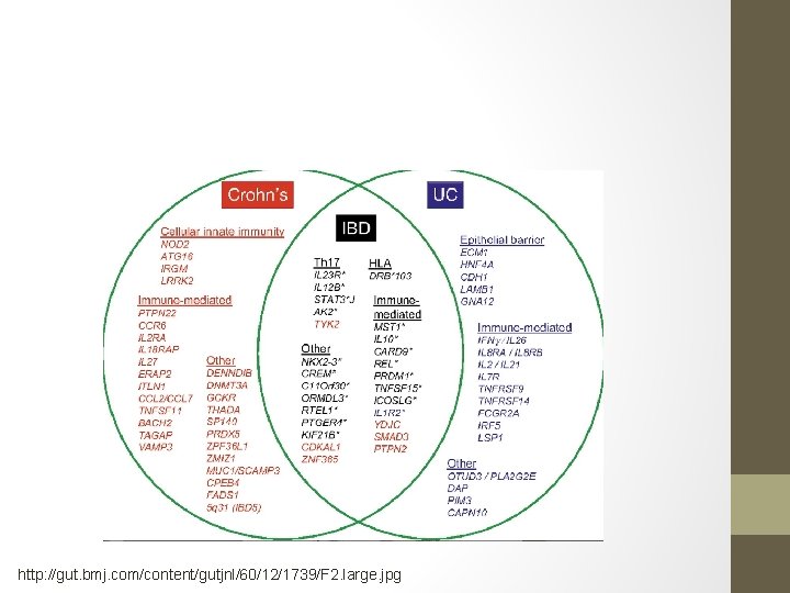 http: //gut. bmj. com/content/gutjnl/60/12/1739/F 2. large. jpg 