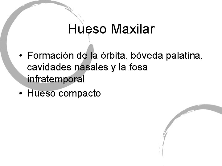 Hueso Maxilar • Formación de la órbita, bóveda palatina, cavidades nasales y la fosa