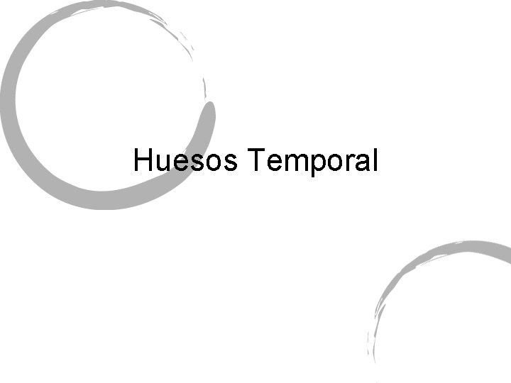 Huesos Temporal 