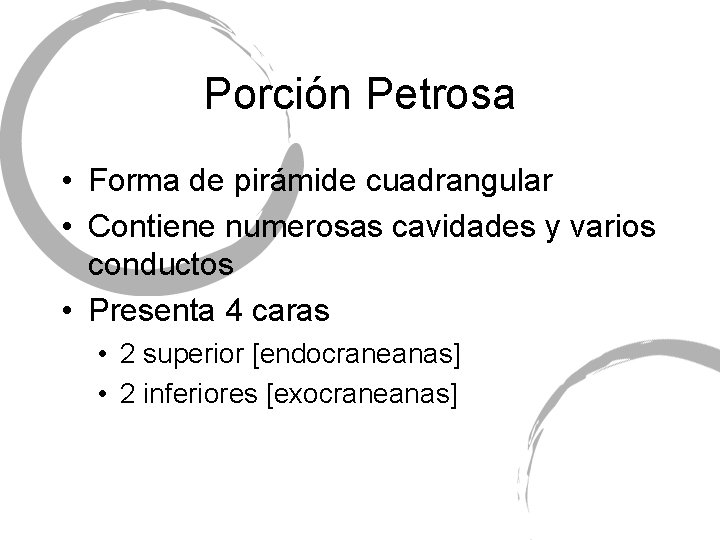 Porción Petrosa • Forma de pirámide cuadrangular • Contiene numerosas cavidades y varios conductos